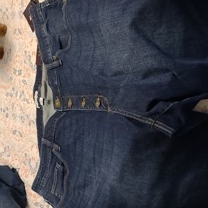 NWT AVA & VIV Stretch Jeans 22W